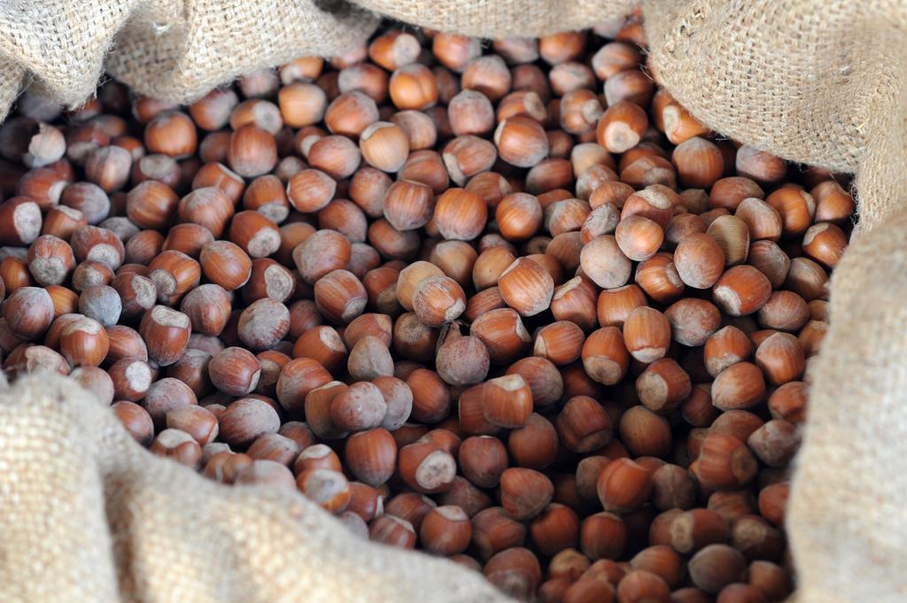 Agriturismo Cascina Varie Castagnito المظهر الخارجي الصورة